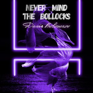 Never Mind the Bollocks