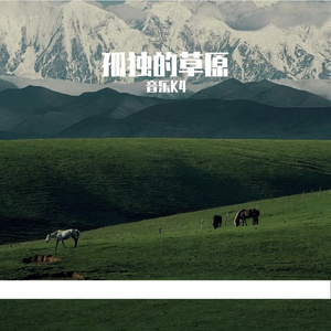 孤独的草原.wav