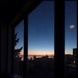 缘生恨(沈园外终章)（Cover 尚辰 & 张飞女士曲线救店）