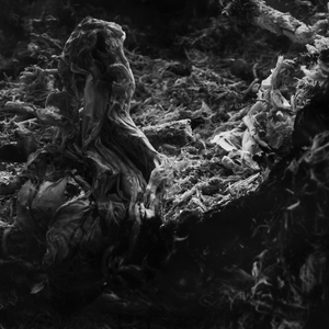 Presumption (Original Mix)