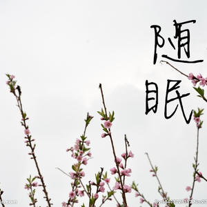 随眠《节气歌》