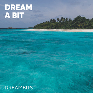 Dream Bit
