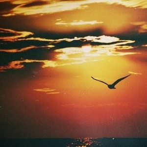 Winged (Original Remix)