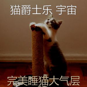 抚慰的猫回忆