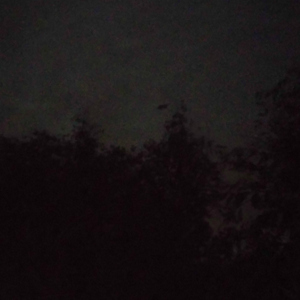 Had To (p. Karma Rhythm & White Katana)