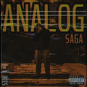 Analog
