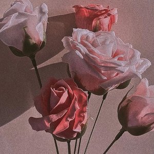 荷塘月色（抖@变速变调