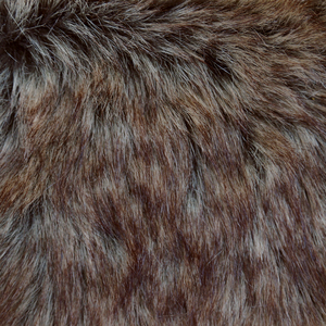 All The Bearded Ladies