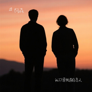 我不懂相遇的意义