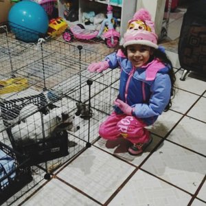 Qué es el amor