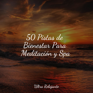 Meditación Sin Consolidar