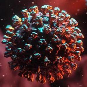 Hantavirus
