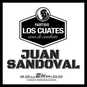 Juan Sandoval