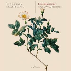 Madrigali á 5 voci, Libro 9 (Excerpts): No. 8, L'aura che'l verde Lauro