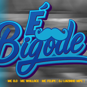 É Bigode