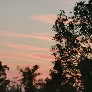 城市日记（Panie-Su）