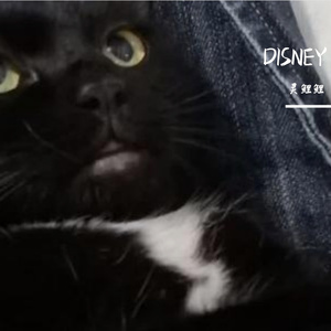 For the First Time in Forever