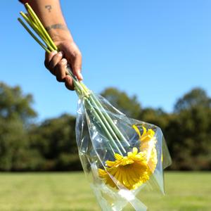 V. I'm IMPATIENT And You're Right For Me