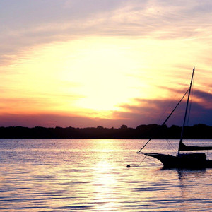 空に手を伸ばす