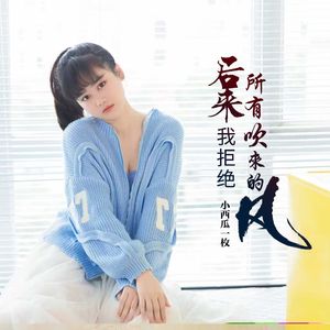 后来我拒绝所有吹来的风-小西瓜一枚