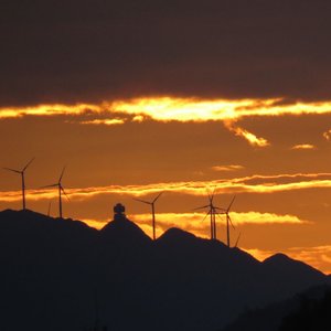 【FREE】想 见 你 是 一 直 的