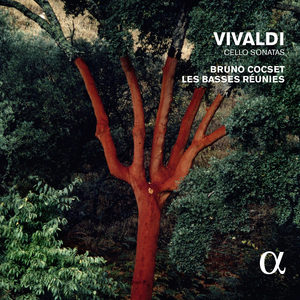 Cello Sonata in A Minor, RV 44: IV. Giga