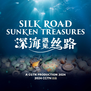 共绘这片蓝-片头曲