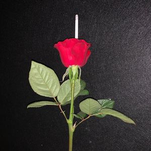 我们什么时候结束（Who was she）