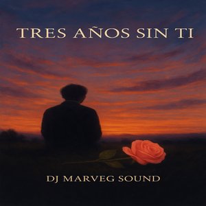Tres Años Sin Ti
