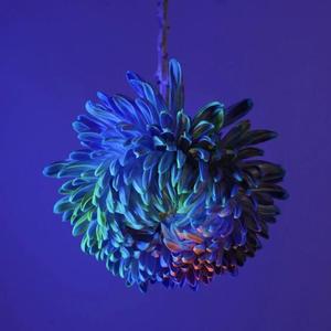 住在耳朵里(cover Jony J)