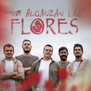 NO ALCANZAN LAS FLORES