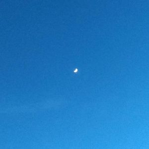 掌心岁月里的永恒之爱