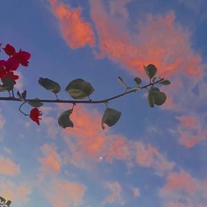 一把油纸伞-整曲