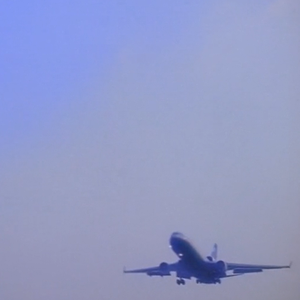 花的姿态（Owner）