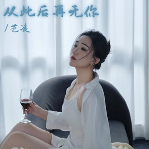 从此后再无你