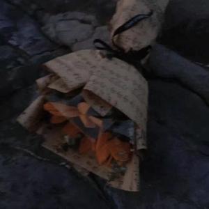 圣诞节(prod. by wavytrbl)