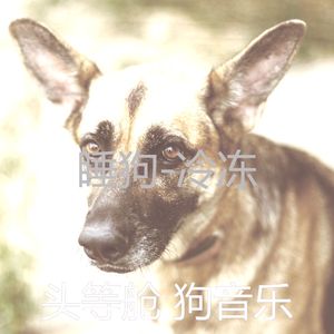 幼犬-振奋人心