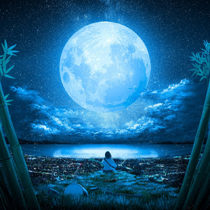 月君想