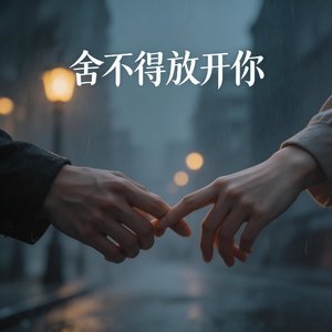 我试过放开你
