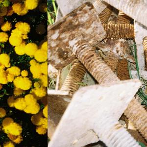 Stevie (feat. MAX BLACK)