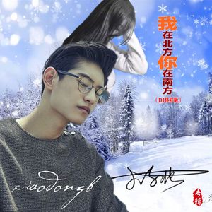 我在北方你在南方（DJ林祥版）