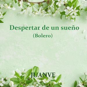 Despertar de un sueño
