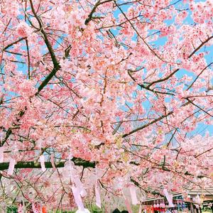 她及山水 prod by-SO Fun