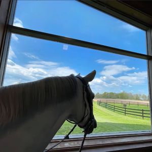 走完没走完的路Vol.35