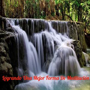 Mitiga Los Efectos Del Estrés