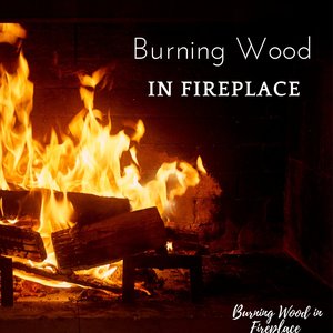 Burning Wood in Fireplace