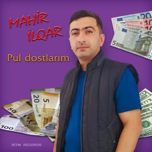 Pul Dostlarım