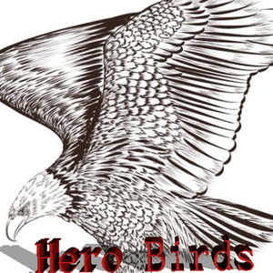 Hero Birds