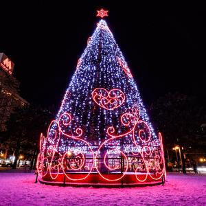 船帆（翻自 赵政豪）