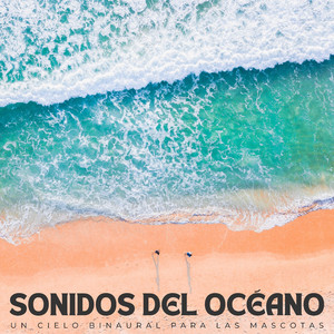 Animal Tranquilo Zen